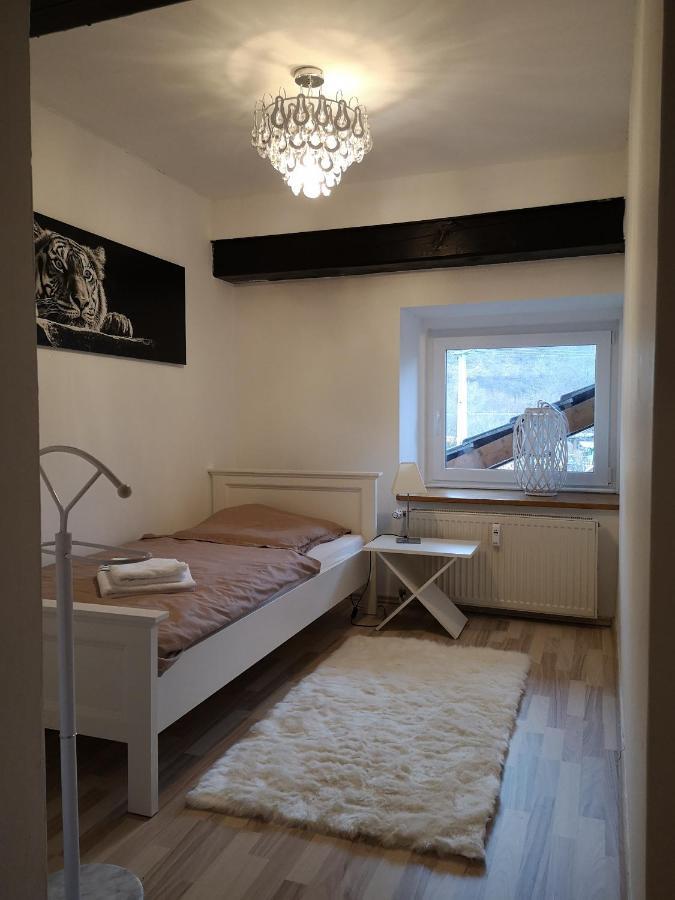 Apartment Direkt An Der Waldnaab Neustadt an der Waldnaab Kültér fotó