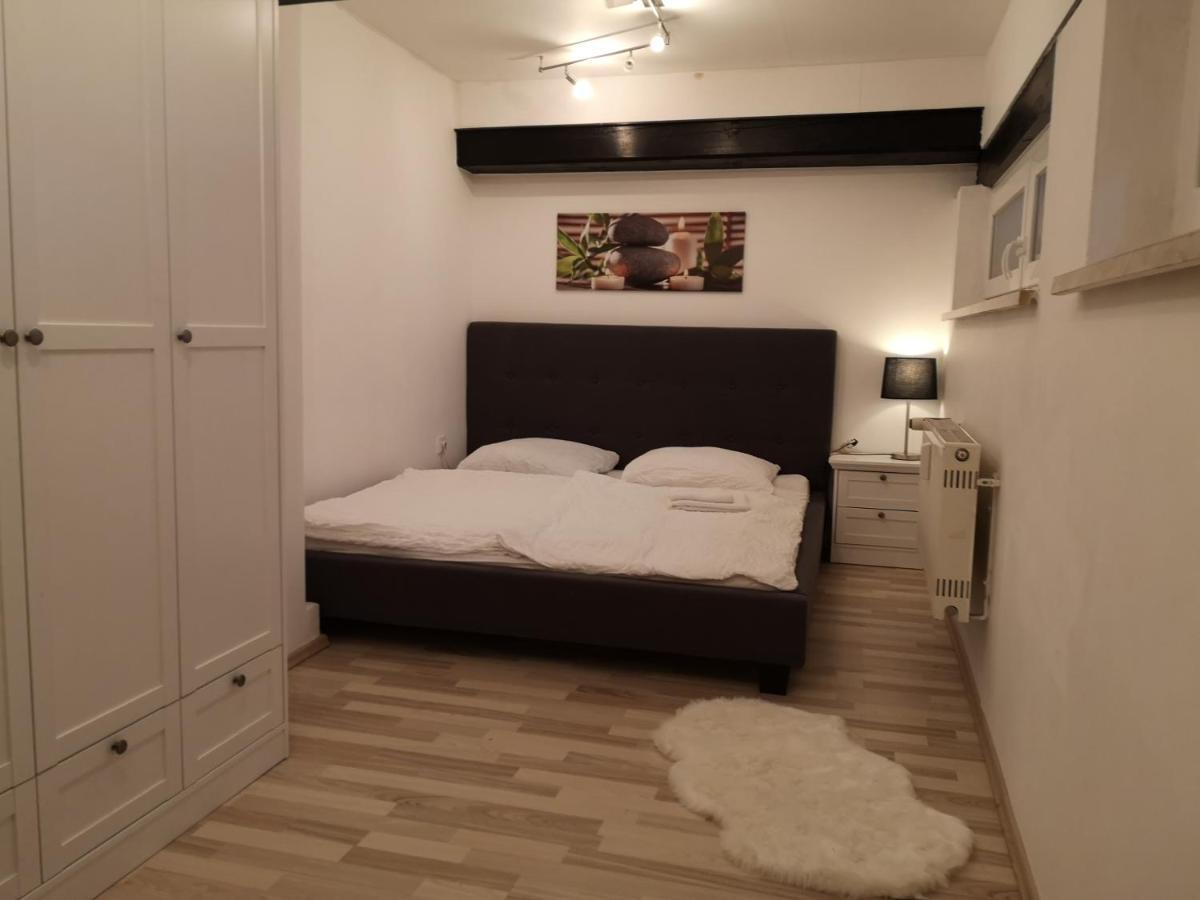 Apartment Direkt An Der Waldnaab Neustadt an der Waldnaab Kültér fotó