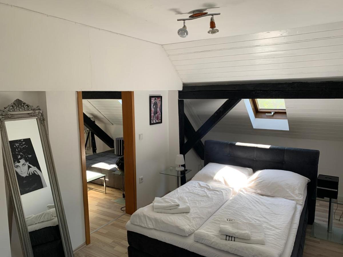 Apartment Direkt An Der Waldnaab Neustadt an der Waldnaab Kültér fotó